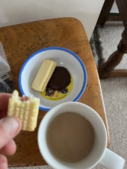 Evidence: Plain viennese finger