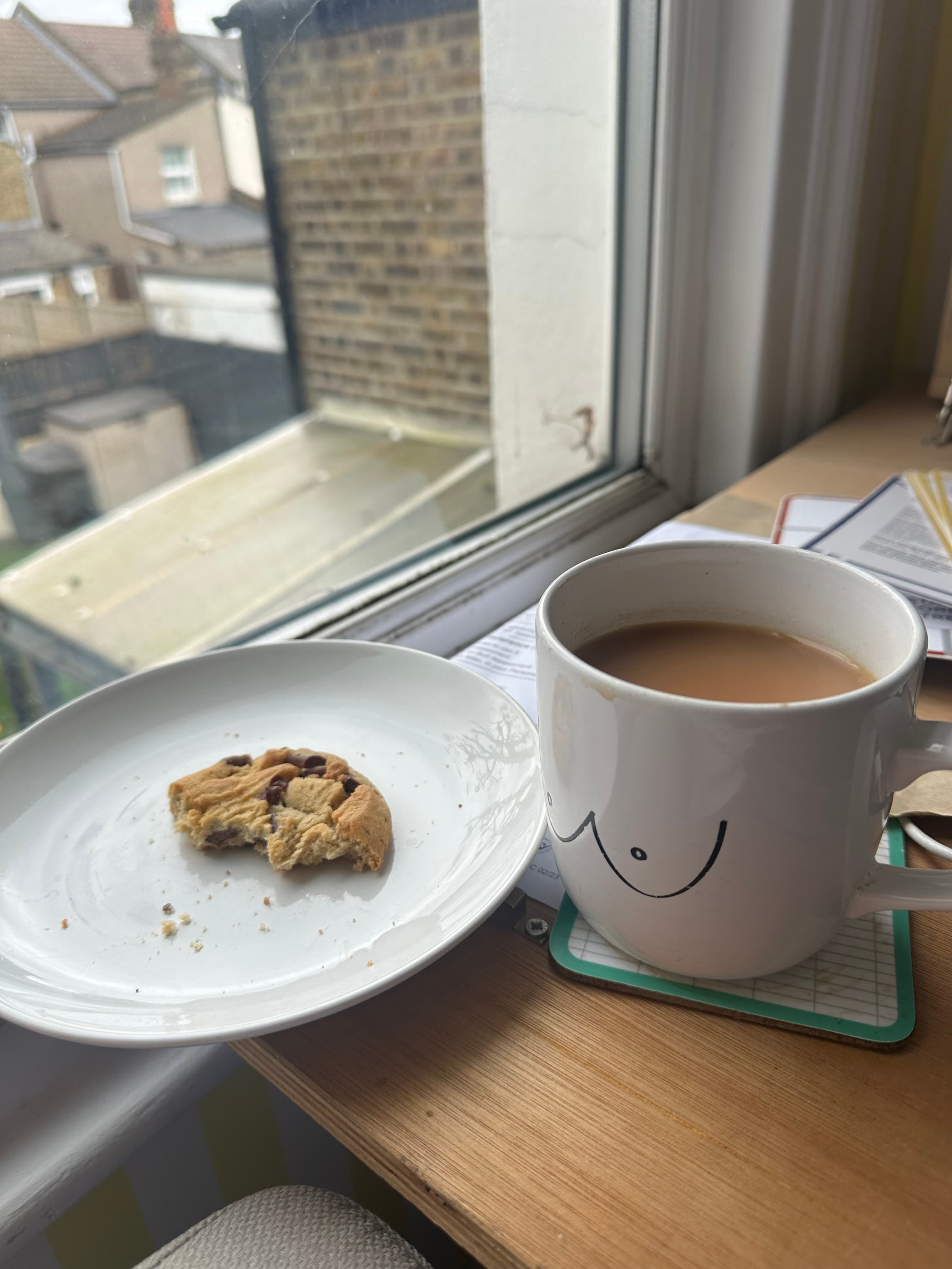 Field photograph of Milk chocolate cookie (Tesco)