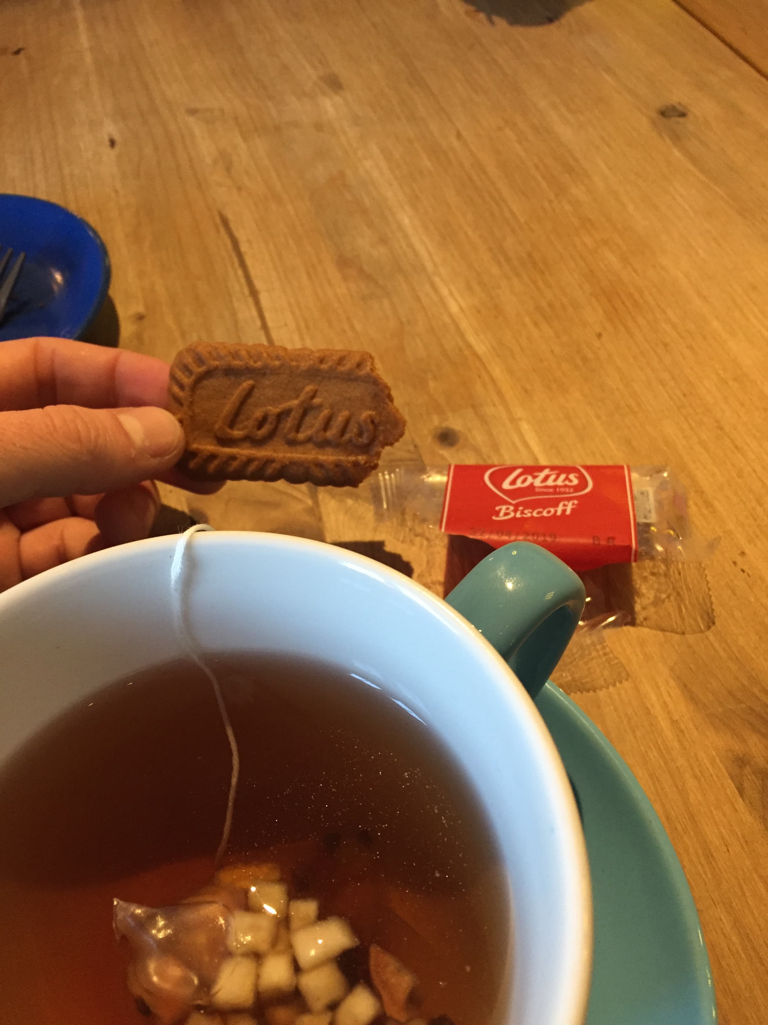 Field photograph of Biscoff (Lotus)